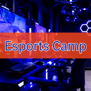 Untitled Design 6 300x300